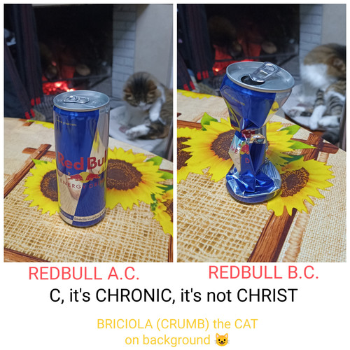 IMG 20231222 173724.jpg