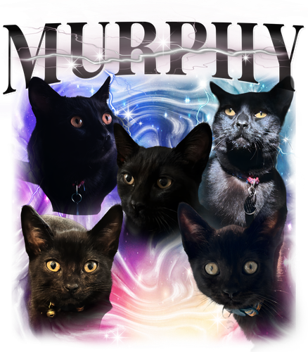 Murphy 1.png
