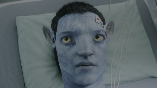 frame1.png