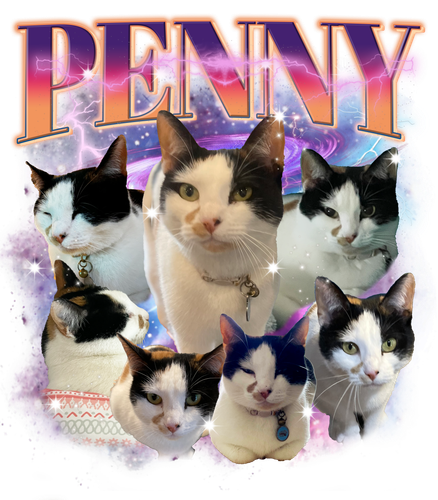 3134985343.png