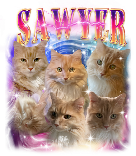 SAWYER.png