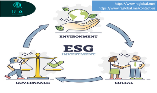 Sustainability assurance importance.png