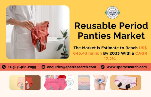 Reusable Period Panties Market.jpg