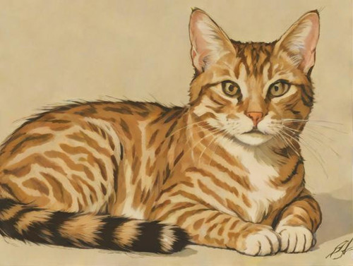 cat?model=turbo&width=1024&height=768&nologo=true&seed= 92344684526907.jpg