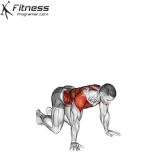 Kneeling T spine Rotation.gif