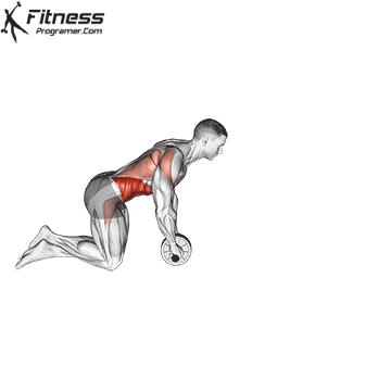 Ab Wheel Rollout.gif