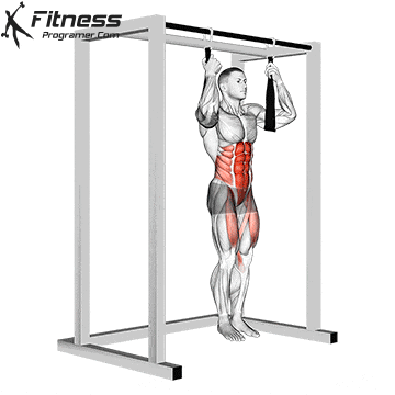 Ab Straps Leg Raise.gif