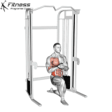 Cable Half Kneeling Pallof Press.gif