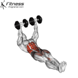 Dumbbell Floor Wipers.gif