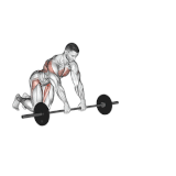 Barbell Rollout.gif