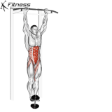 weighted hanging knee raises.gif