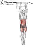 Hanging Side Knee Raises.gif