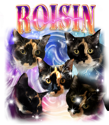 ROISIN.png