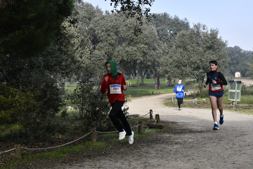  DSC8001.jpg