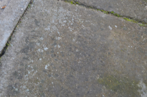 DSC 0010.jpg