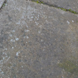 DSC 0010