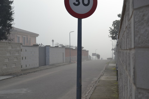 DSC 0006.jpg