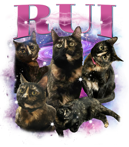3153046156.png