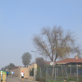 DSC 0028