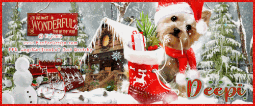 Most Wonderful Time Of The Year Deepi