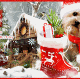 Most Wonderful Time Of The Year Deepi