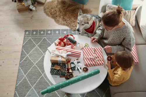 A Stress Free Fur iday Grooming Hacks for a Relaxed Pet this Christmas.png