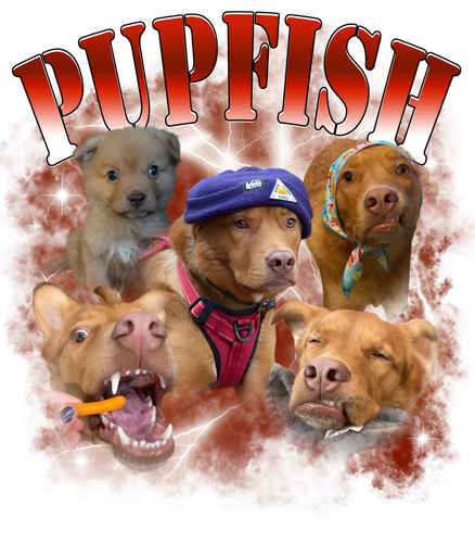 Pupfish.png