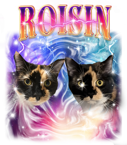 ROISIN.png