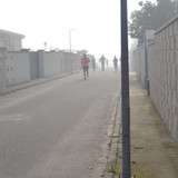 DSC 0049