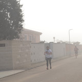 DSC 0083