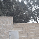 DSC 0096