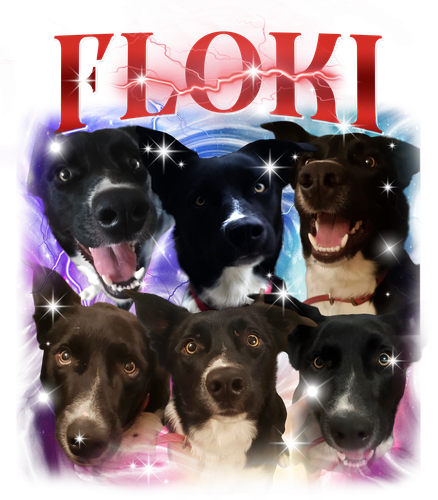 FLOKI.png