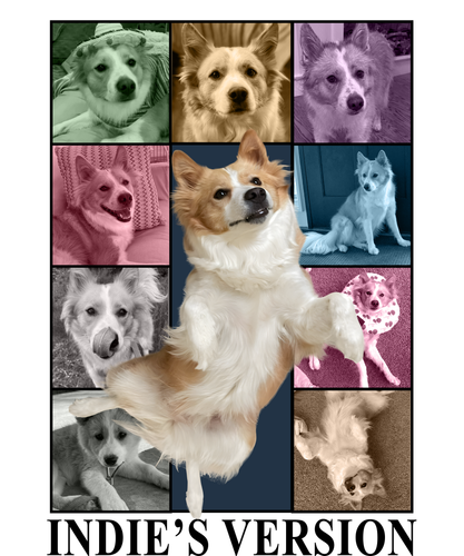Indie’s Version.png