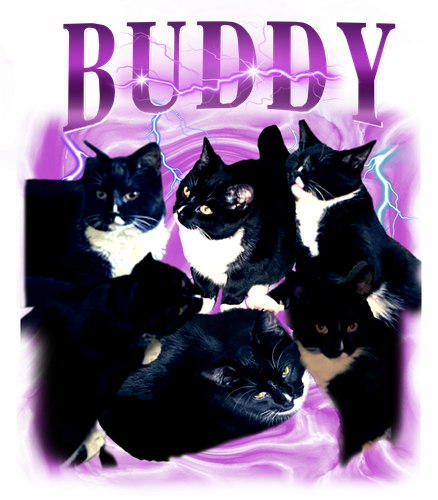 buddy.png