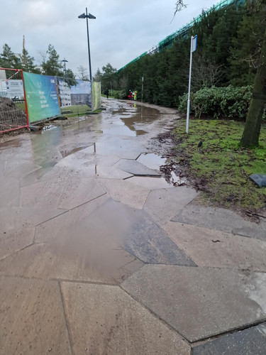 MicrosoftTeams image (5).jpg