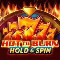 vs20hburnhs.webp