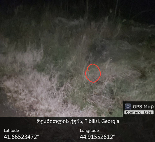 IMG 20231223 200614 243.jpg