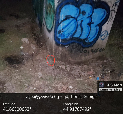 IMG 20231223 201114 079.jpg