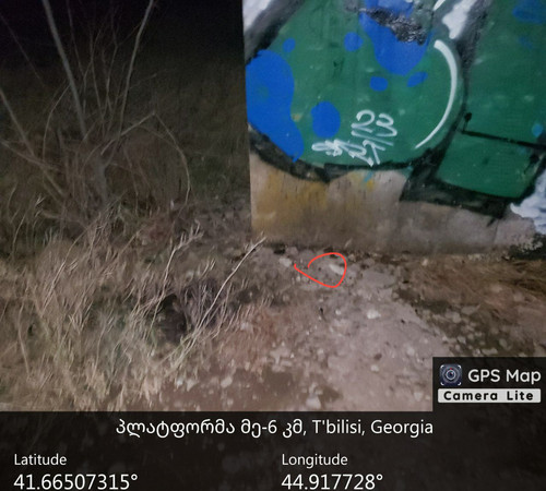 IMG 20231223 201107 485.jpg