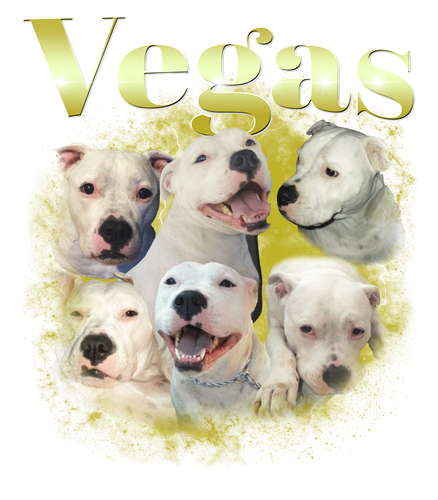 Vegas.png