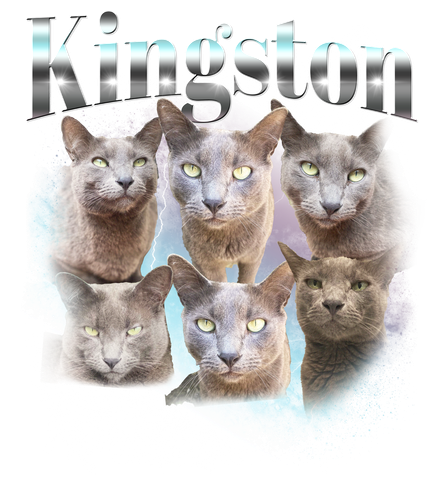 Kingston.png