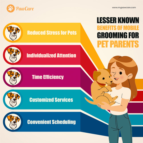 5 Lesser Known Benefits of Mobile Grooming for Pet Parents.jpg