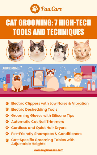 Cat Grooming 7 High Tech Tools and Techniques.jpg