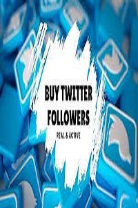 Buy twitter followers.jpg