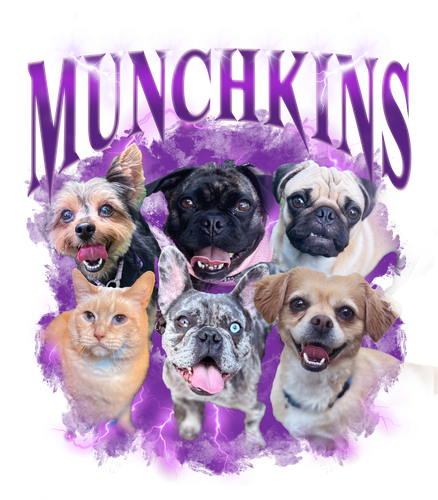 Munchkins.png