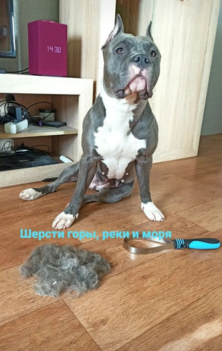 file 1769.jpg