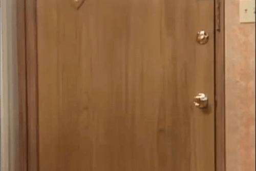 1eb002e3fa.gif