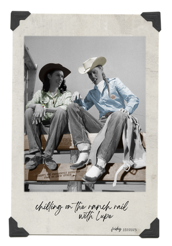 cowgirls(2) pol.png