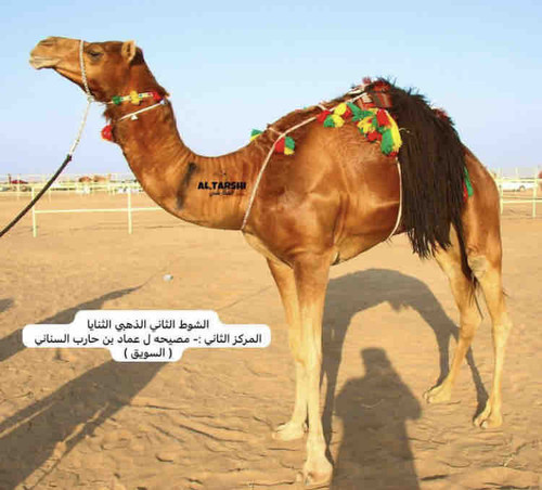 10D9D2C0 CB7D 41BC 8B58 578FBC99478D.jpg