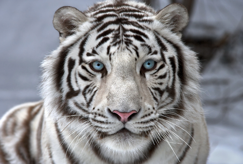 Screenshot 20231221 222824~2.png